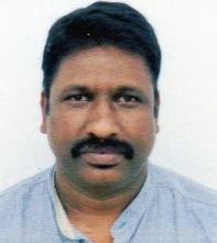 CEO   Sankar R Chitteti 